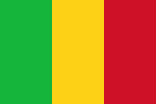 Mali passes new law criminalising same-sex sexual activity